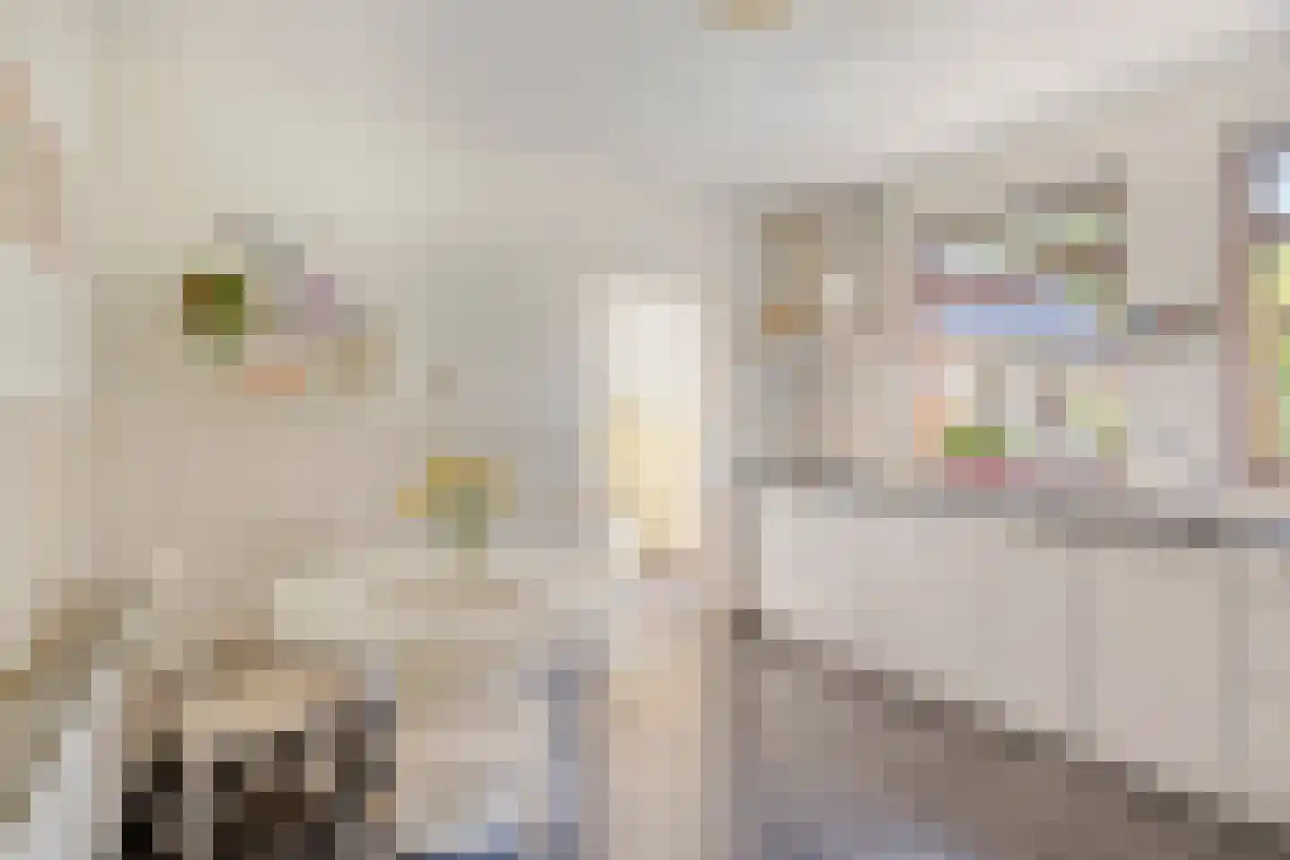 Vonderstraat 39 Riel thumbnail 22