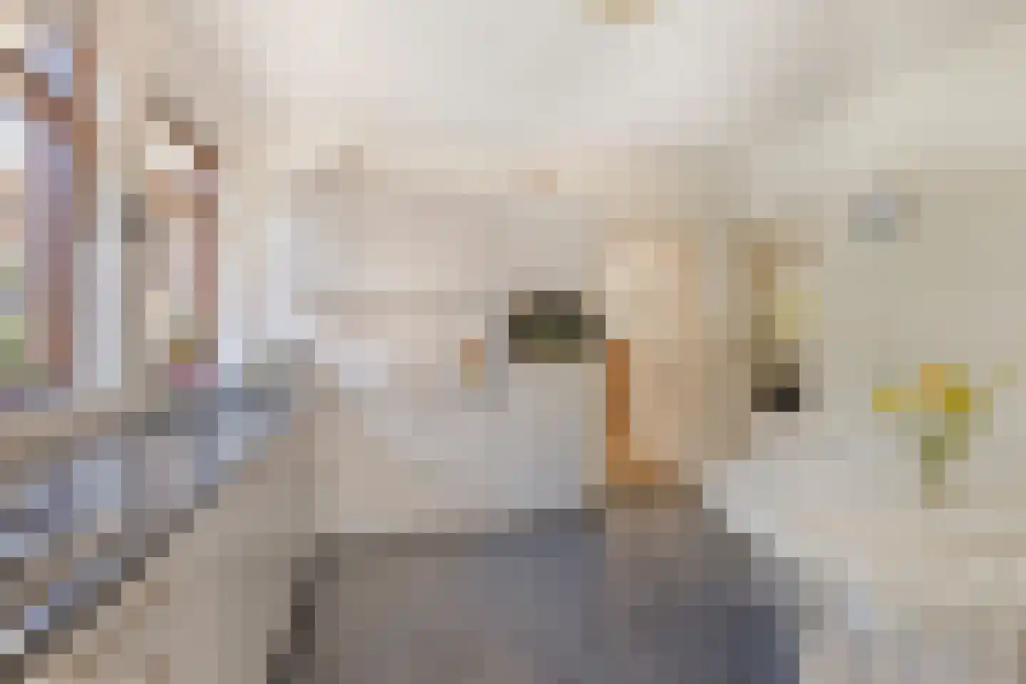 Vonderstraat 39 Riel thumbnail 23