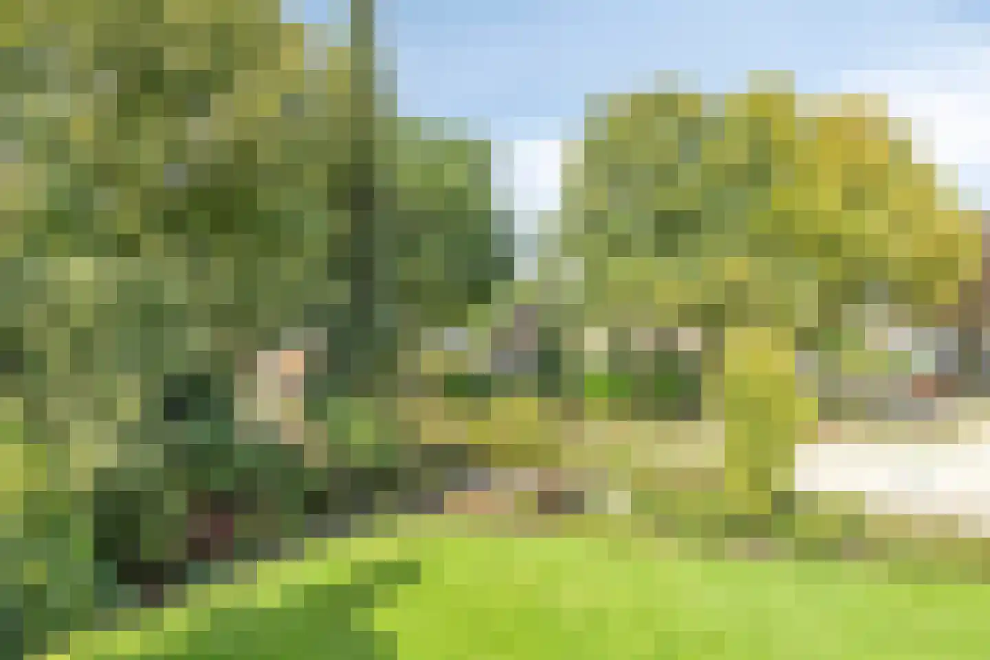 Vonderstraat 39 Riel thumbnail 41