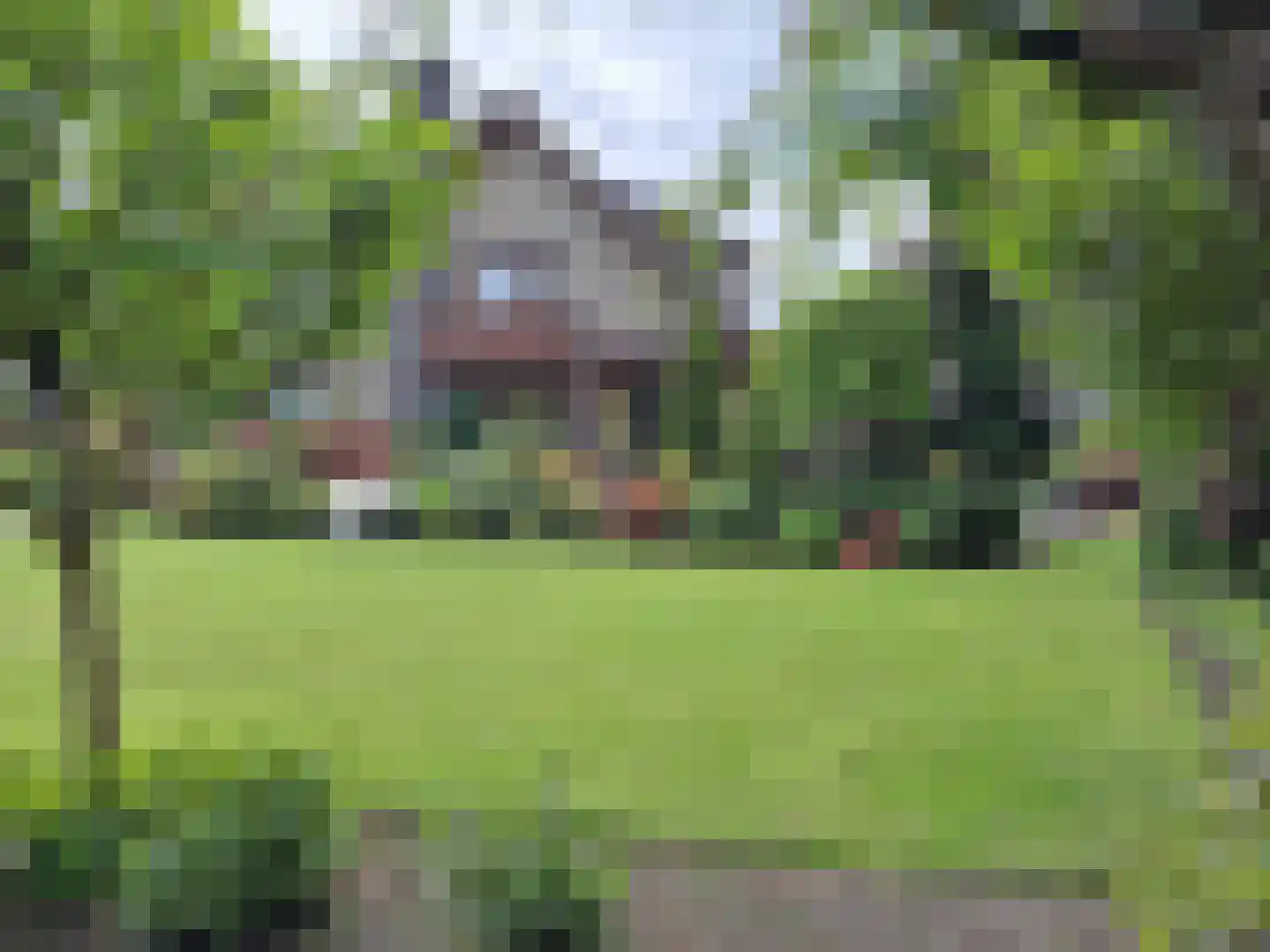 Vonderstraat 39 Riel thumbnail 45