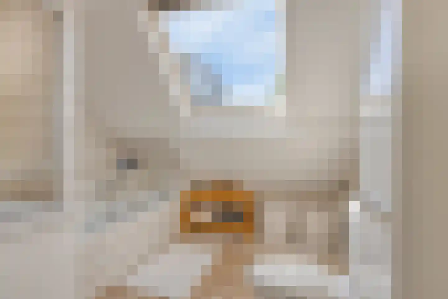 Vonderstraat 39 Riel thumbnail 46
