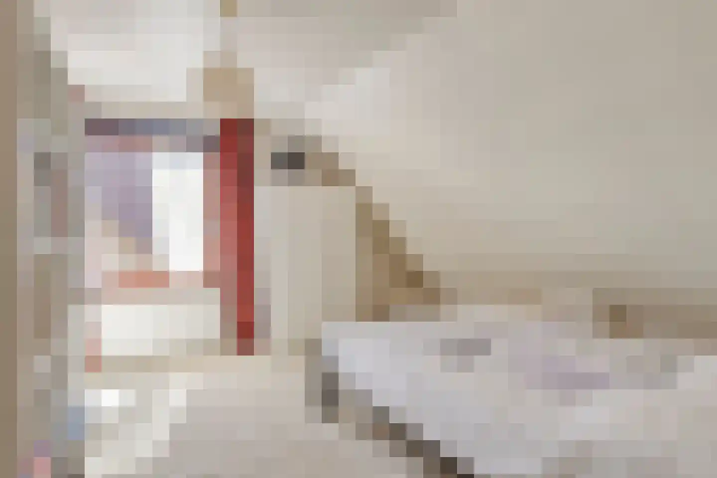 Vonderstraat 39 Riel thumbnail 48
