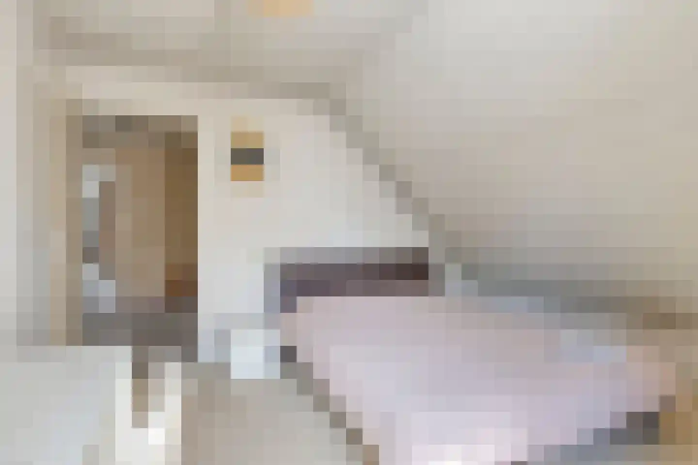 Vonderstraat 39 Riel thumbnail 51