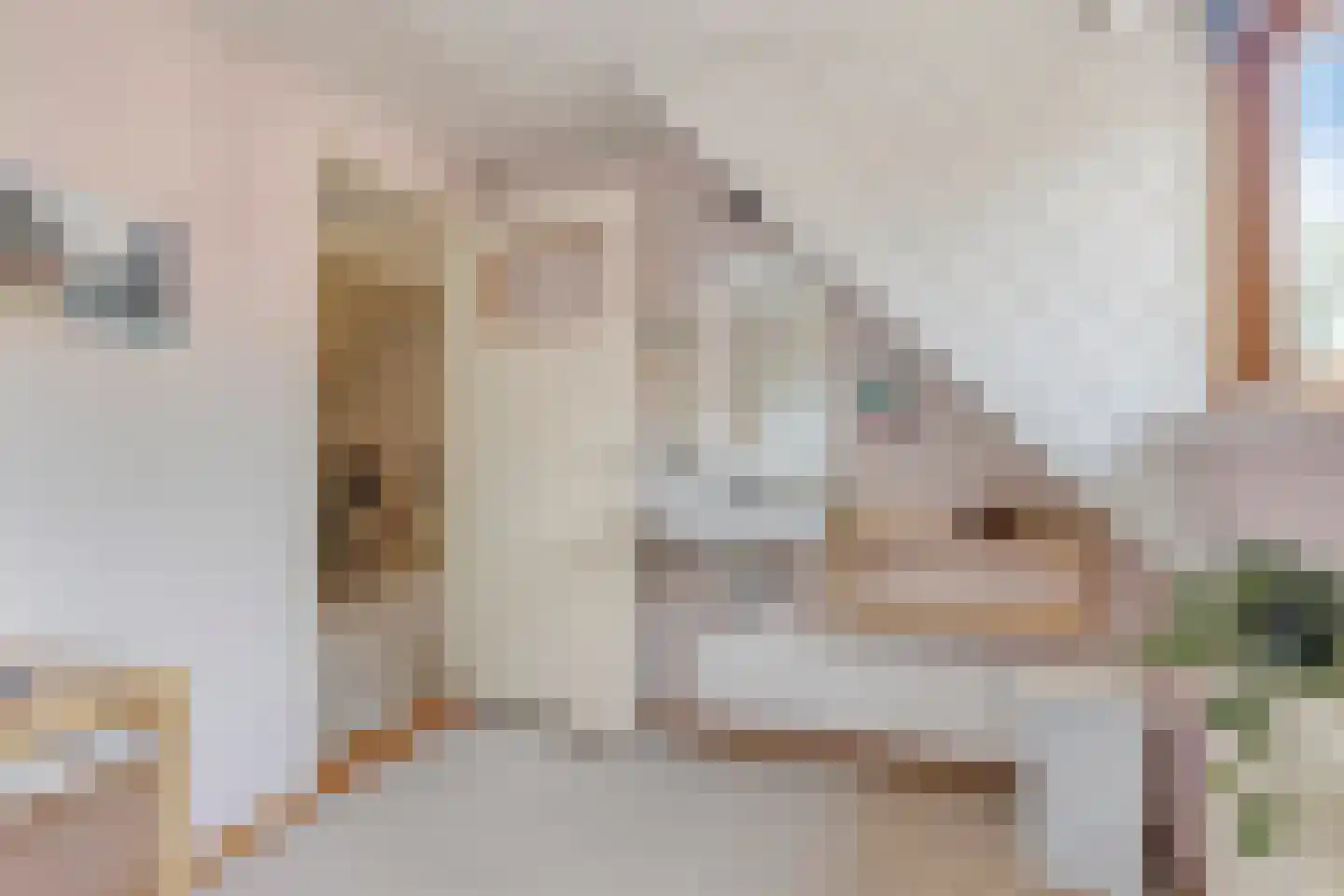Vonderstraat 39 Riel thumbnail 53