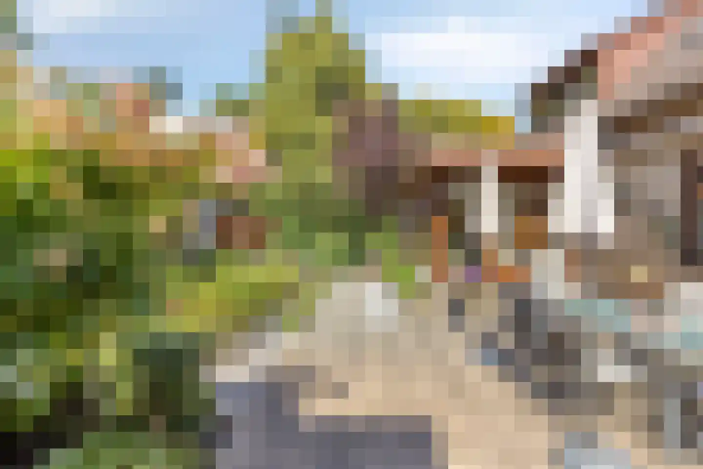 Vonderstraat 39 Riel thumbnail 7