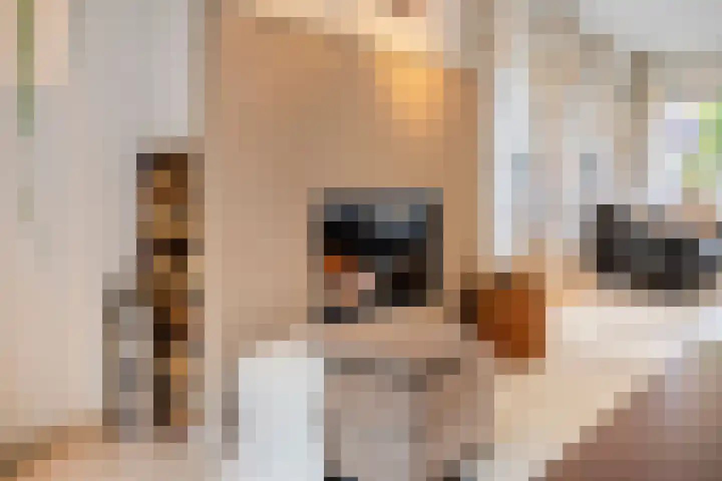 Vonderveld 15 Waalre thumbnail 18