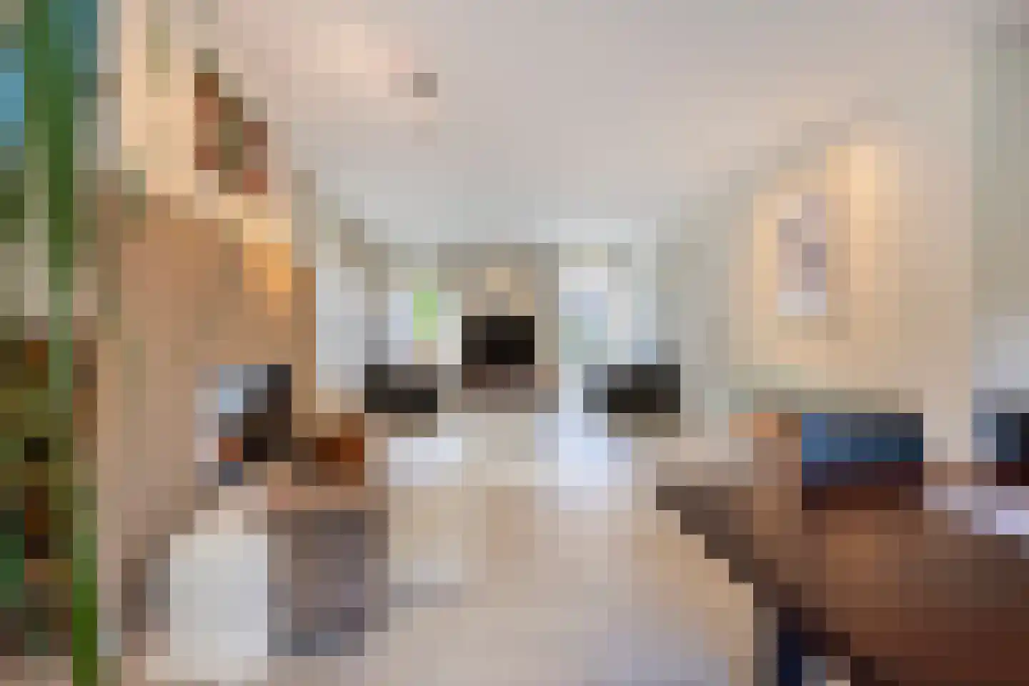 Vonderveld 15 Waalre thumbnail 20