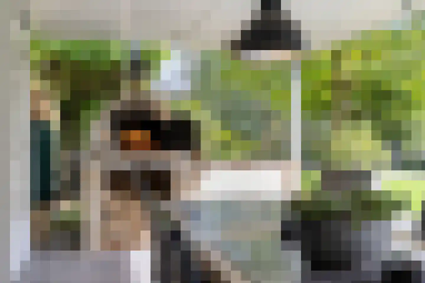 Vonderveld 15 Waalre thumbnail 52
