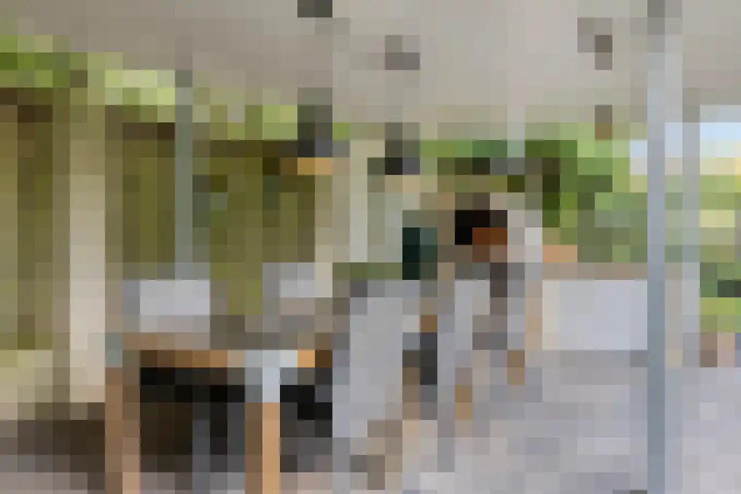 Vonderveld 15 Waalre thumbnail 53