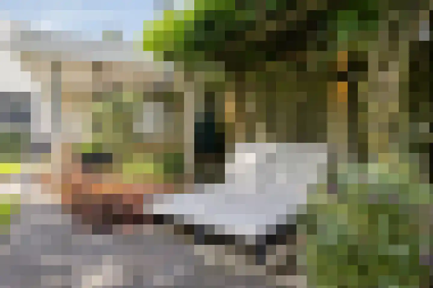 Vonderveld 15 Waalre thumbnail 56