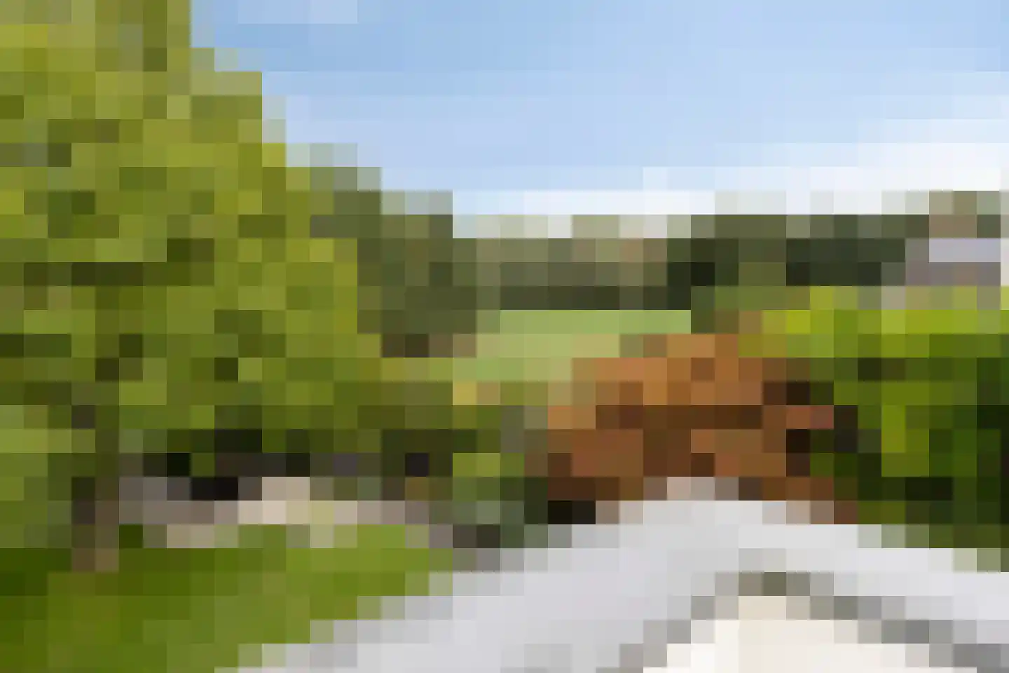 Vonderveld 15 Waalre thumbnail 6