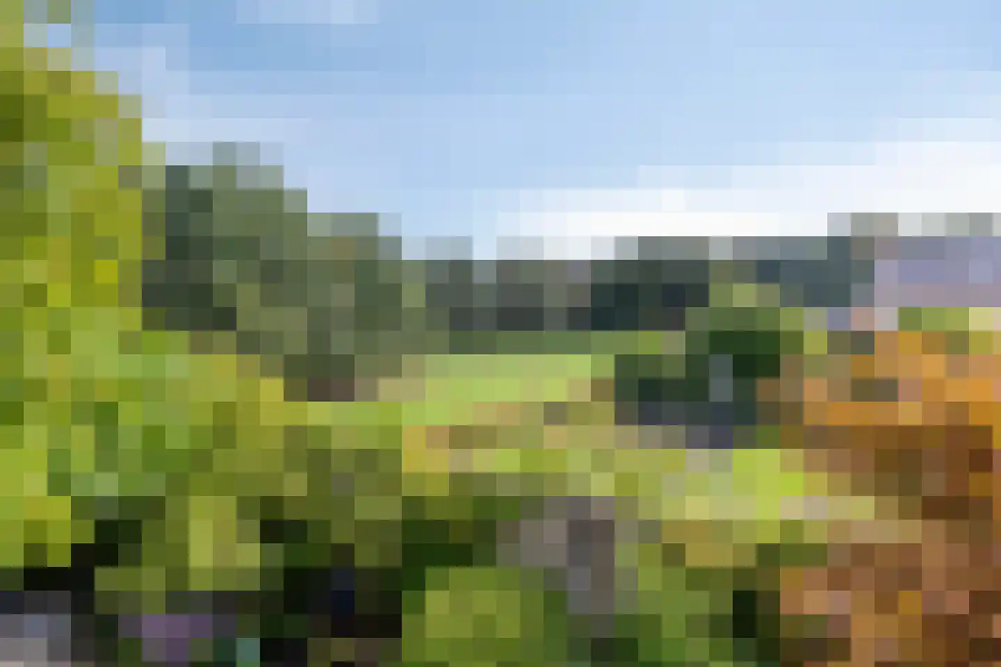Vonderveld 15 Waalre thumbnail 63