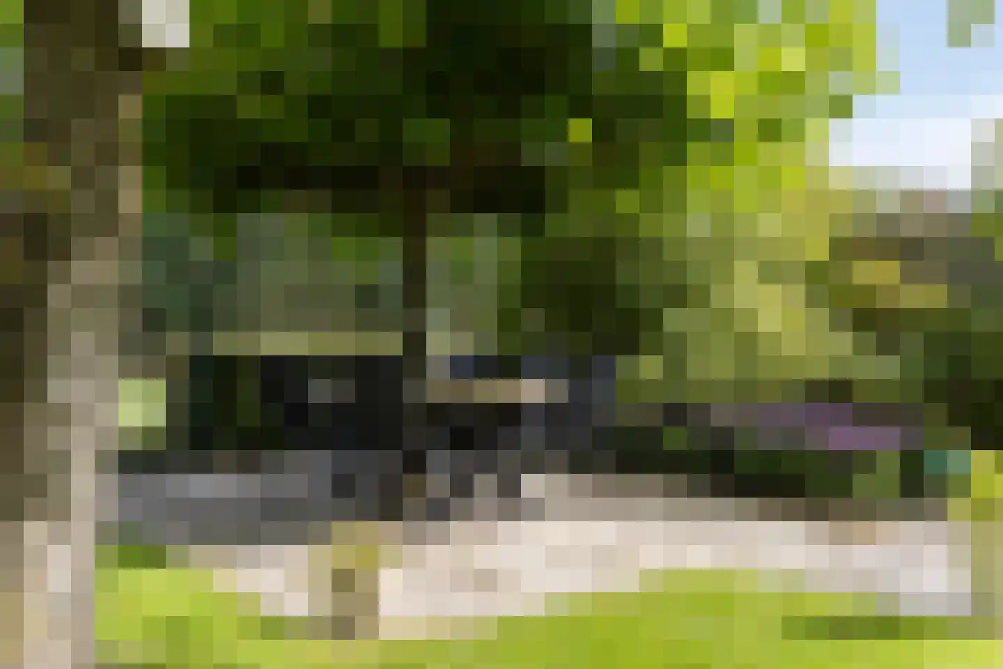 Vonderveld 15 Waalre thumbnail 64