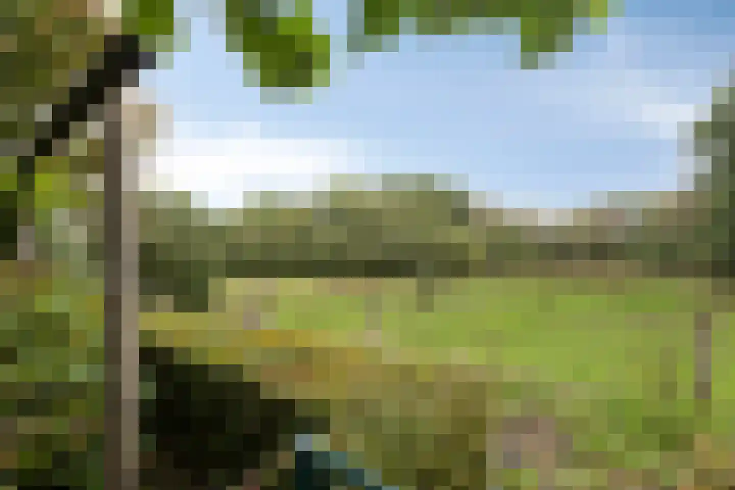 Vonderveld 15 Waalre thumbnail 65