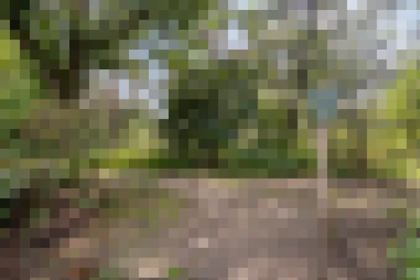 Vonderveld 15 Waalre thumbnail 67