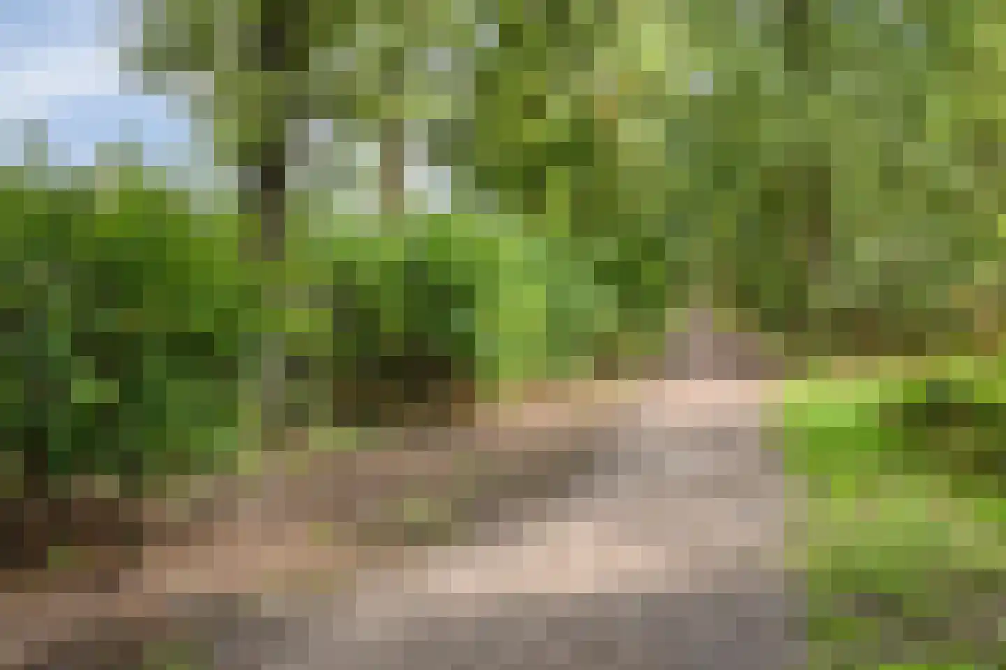 Vonderveld 15 Waalre thumbnail 68
