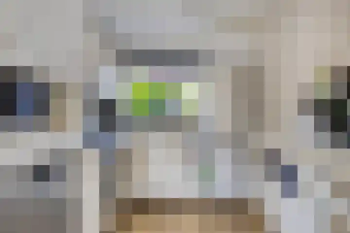 Vonderveld 2 Waalre thumbnail 17