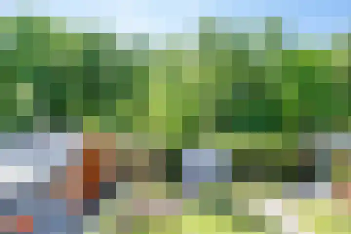 Vonderveld 29 Waalre thumbnail 34