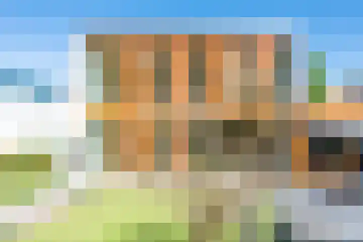 Vonderveld 29 Waalre thumbnail 39