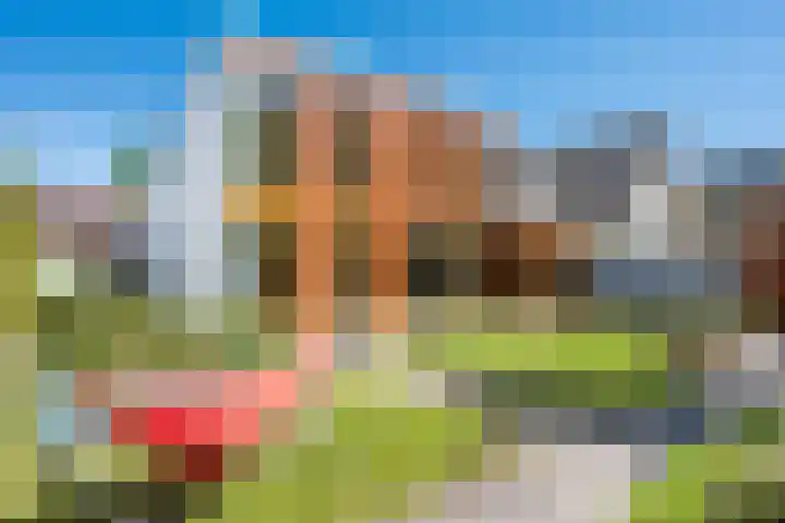 Vonderveld 29 Waalre thumbnail 43
