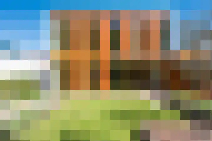 Vonderveld 29 Waalre thumbnail 44