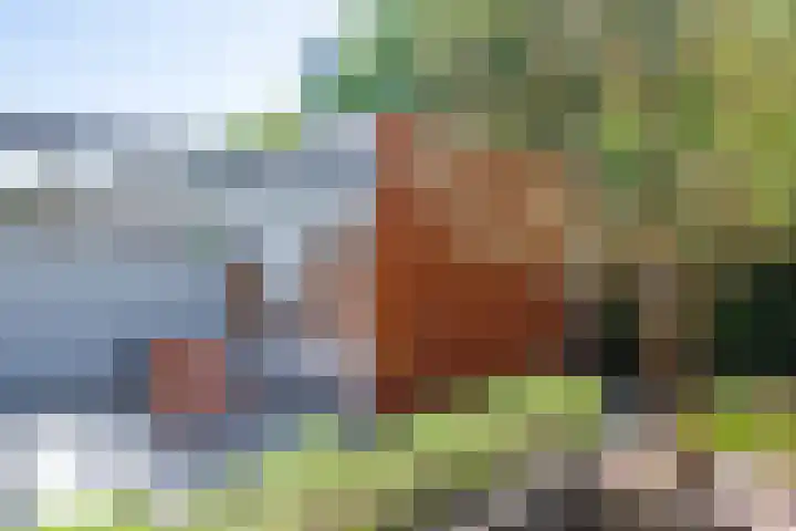 Vonderveld 29 Waalre thumbnail 46
