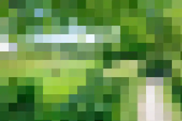 Vonderveld 29 Waalre thumbnail 47
