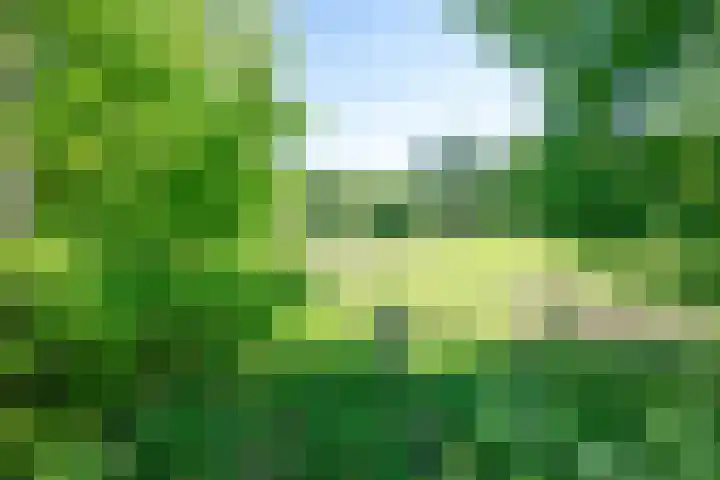 Vonderveld 29 Waalre thumbnail 7