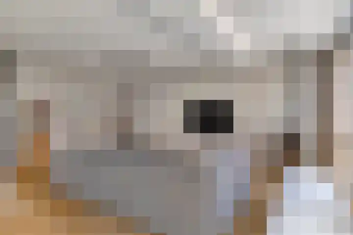 Vonderveld 54 Waalre thumbnail 10