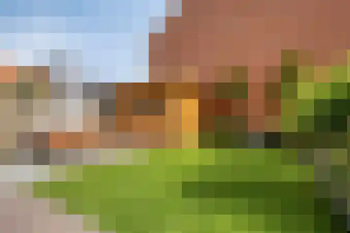 Vonderveld 54 Waalre thumbnail 36
