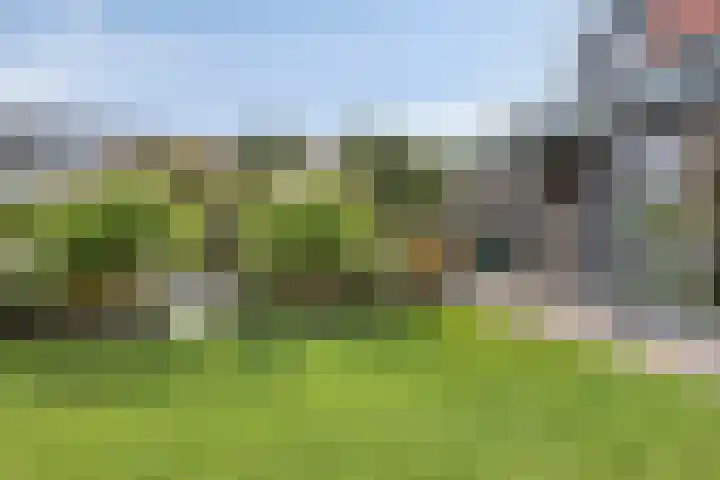 Vonderveld 54 Waalre thumbnail 37