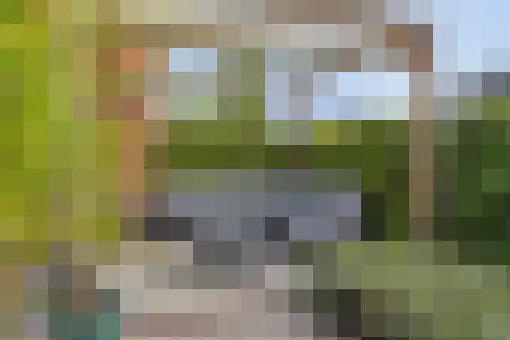 Vonderveld 54 Waalre thumbnail 38