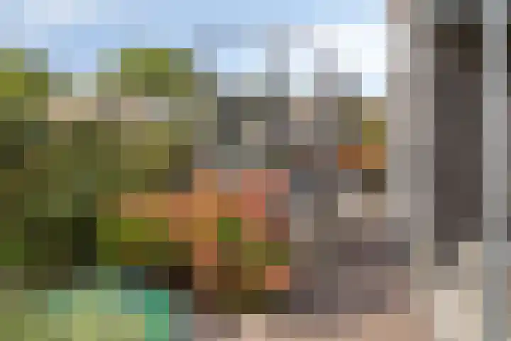 Vonderveld 54 Waalre thumbnail 39
