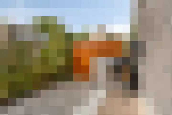 Vonderveld 54 Waalre thumbnail 40