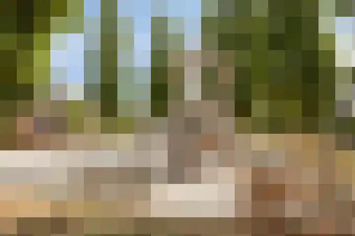 Vonderveld 54 Waalre thumbnail 41