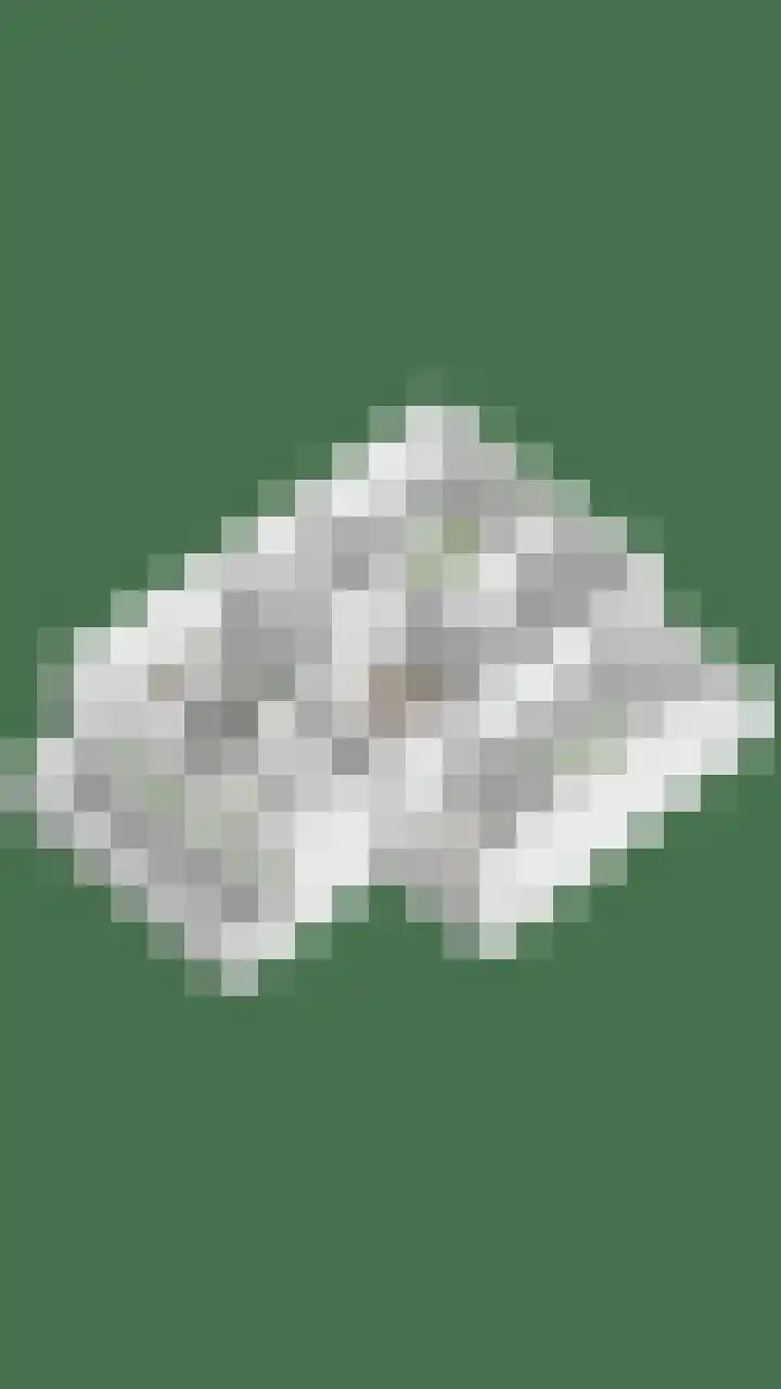 Vonderveld 54 Waalre thumbnail 50