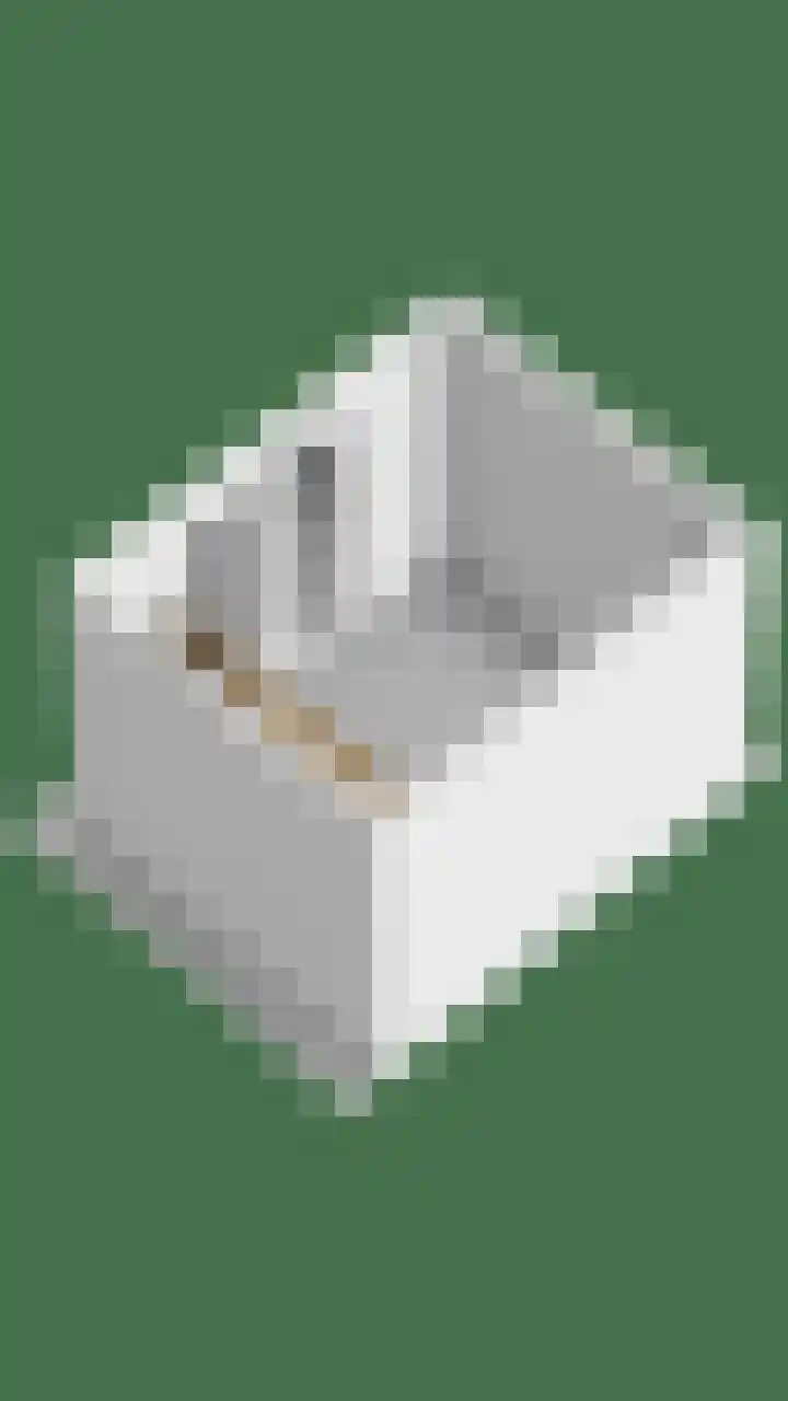 Vonderveld 54 Waalre thumbnail 51