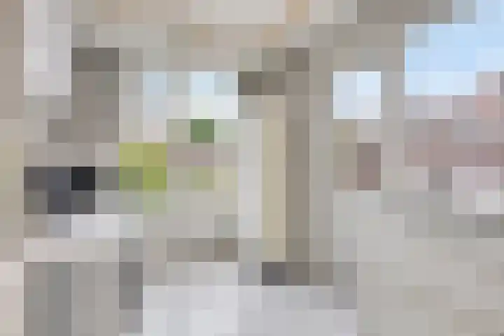 Vonderwei 2 Riel thumbnail 16