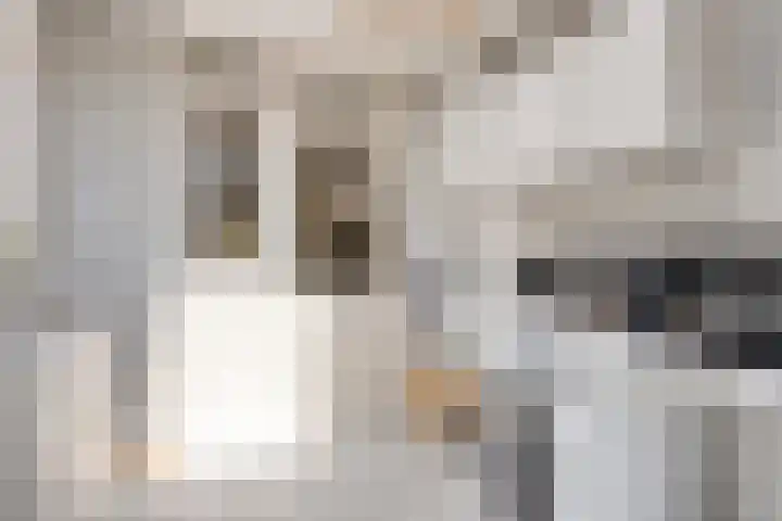 Vonderwei 2 Riel thumbnail 17