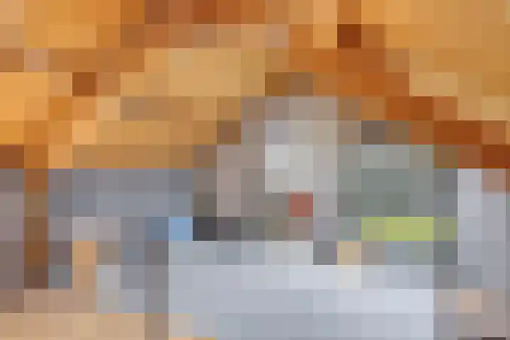 Vonderwei 2 Riel thumbnail 28