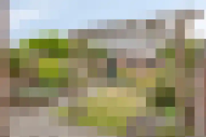 Vonderwei 2 Riel thumbnail 30