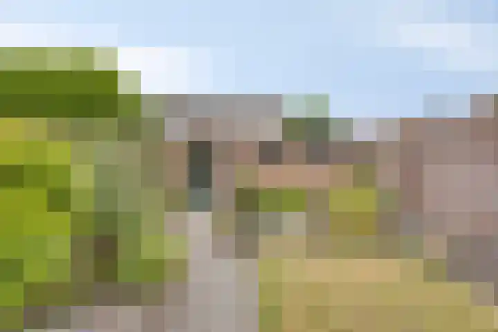 Vonderwei 2 Riel thumbnail 31