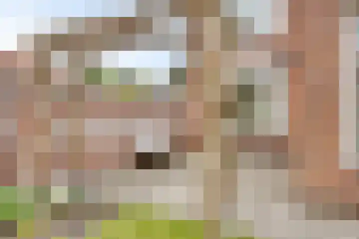 Vonderwei 2 Riel thumbnail 33