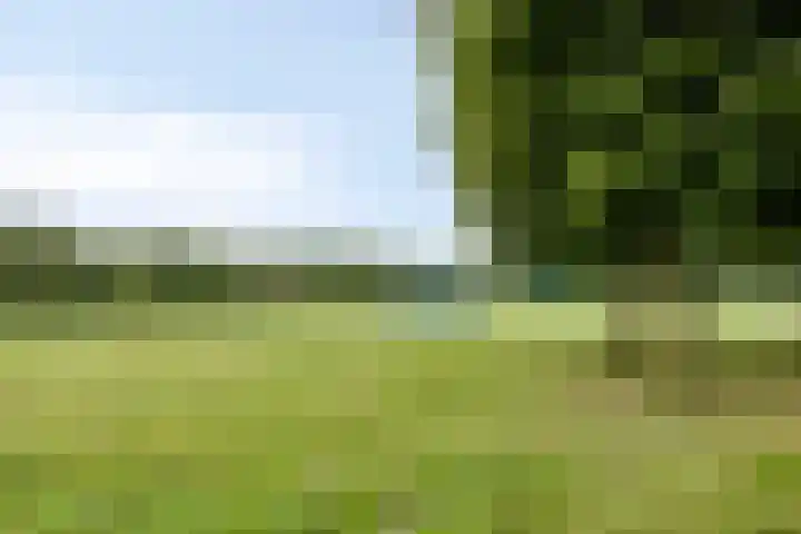 Vonderwei 2 Riel thumbnail 34