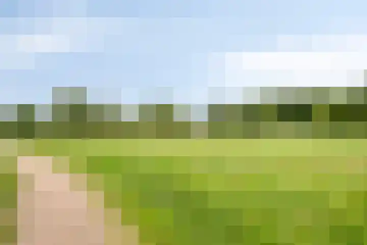 Vonderwei 2 Riel thumbnail 35