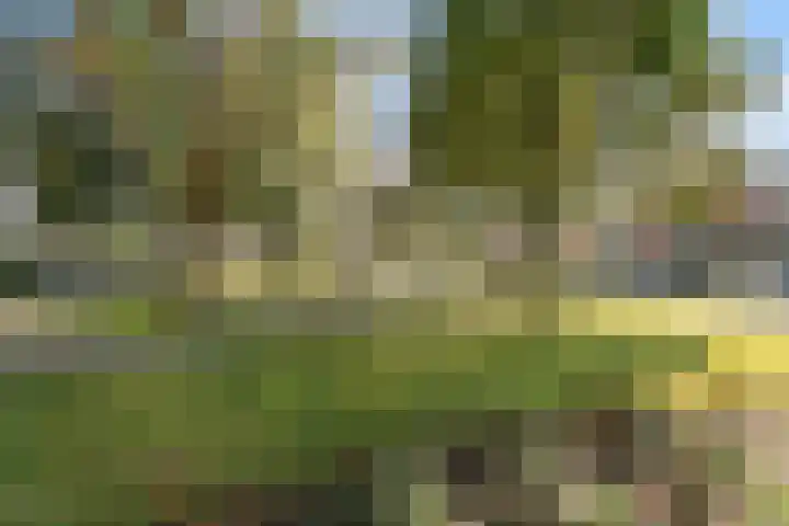 Vonderwei 2 Riel thumbnail 38
