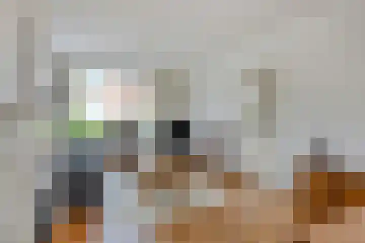Vonderwei 2 Riel thumbnail 7