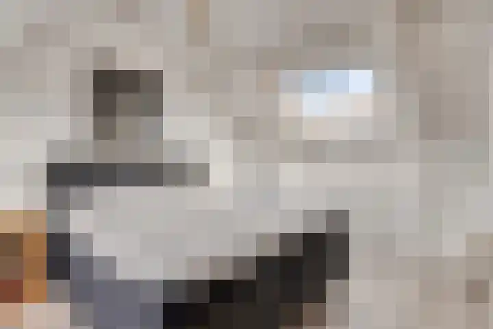 Vonkendaal 103 Maastricht thumbnail 27