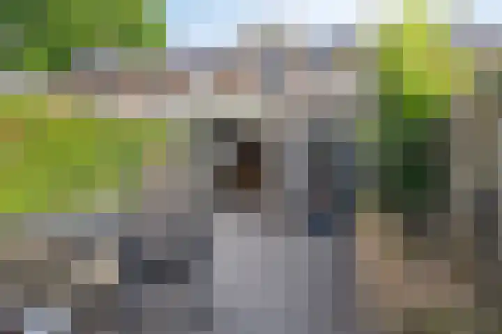 Vonkendaal 103 Maastricht thumbnail 32
