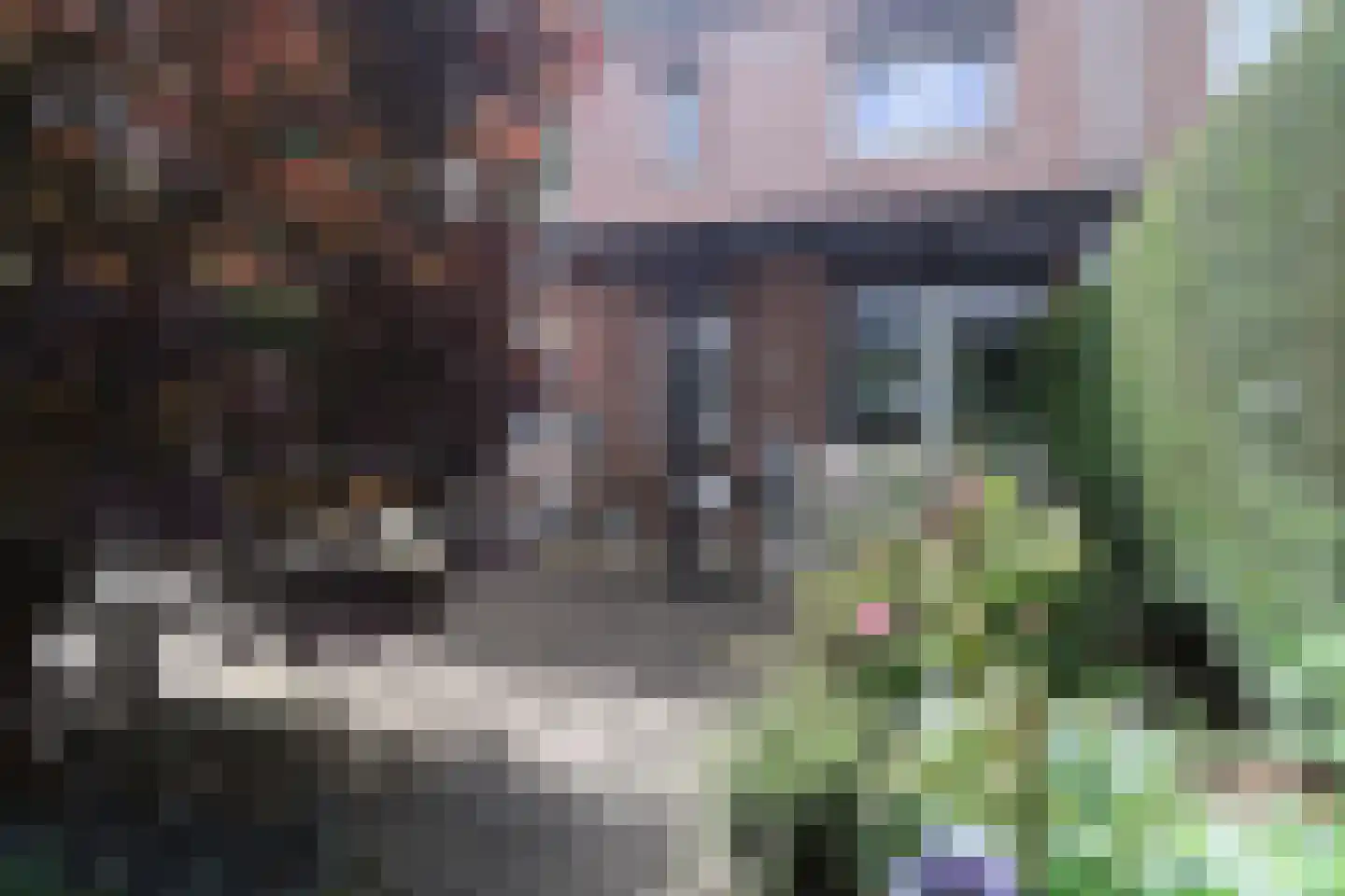 Vonkendaal 120 Maastricht thumbnail 5